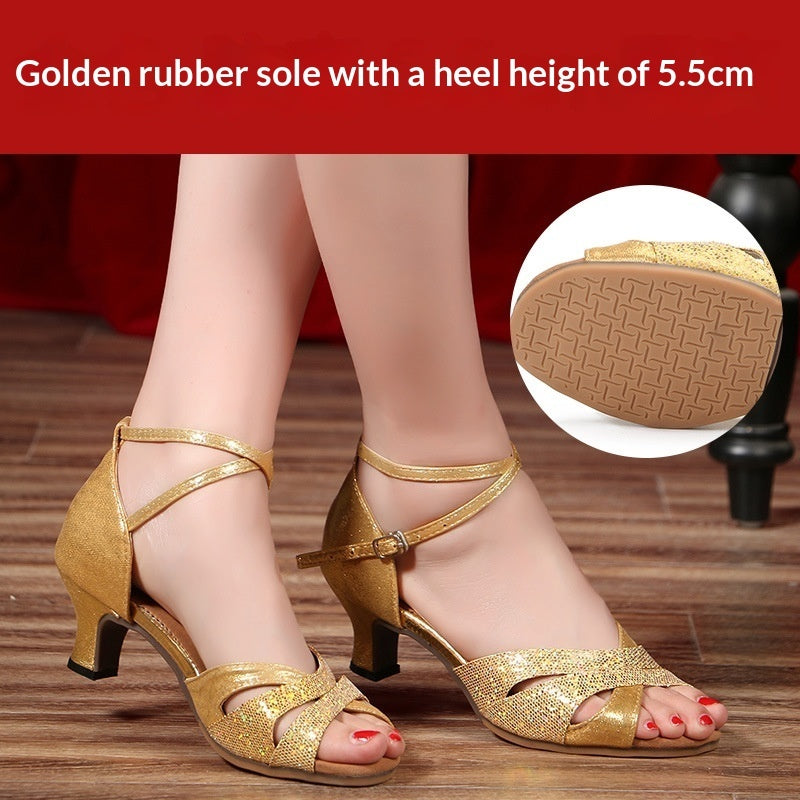 Womens Faux Suede Latin Dance Shoes
